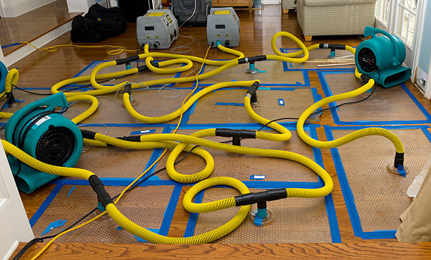 Professional Basement Flood Cleanup technician working in Shabbona, IL